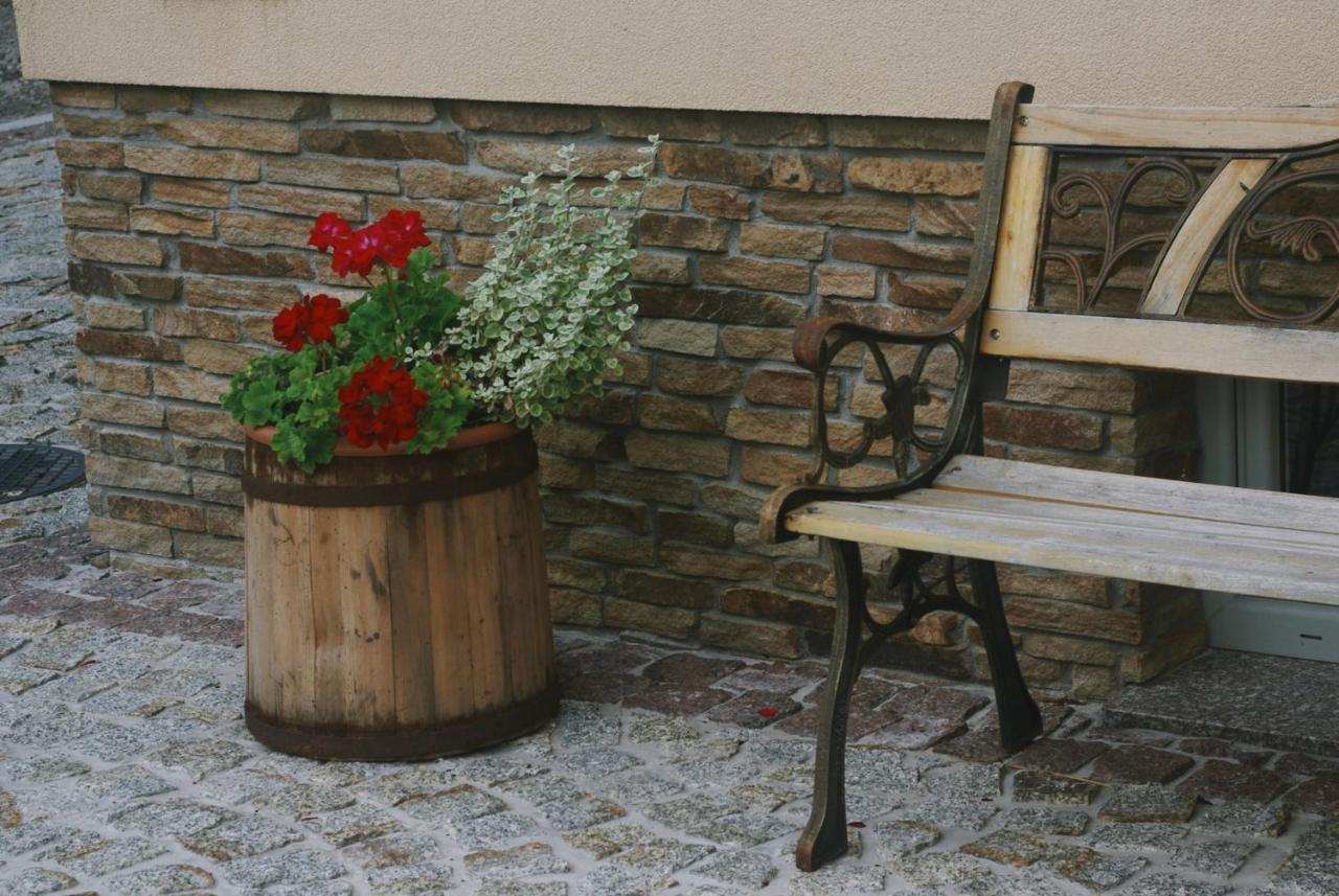 Apartamenty Agroturystyczne Papiernia Niedźwiedź 外观 照片